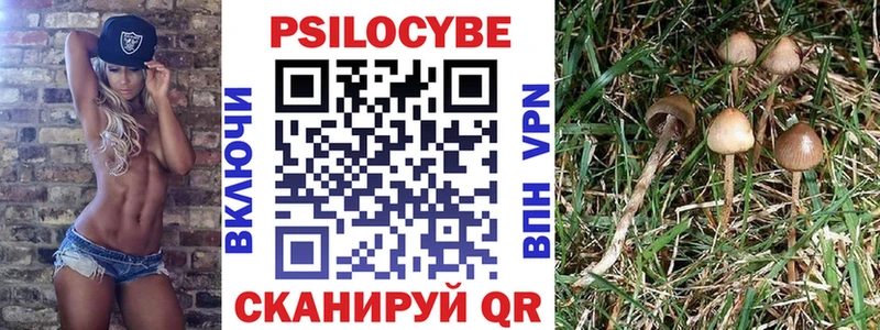 Псилоцибиновые грибы Cubensis  хочу наркоту  Алапаевск 